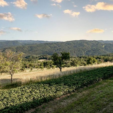 Sunny Hill Διαμέρισμα Vremski Britof Εξωτερικό φωτογραφία