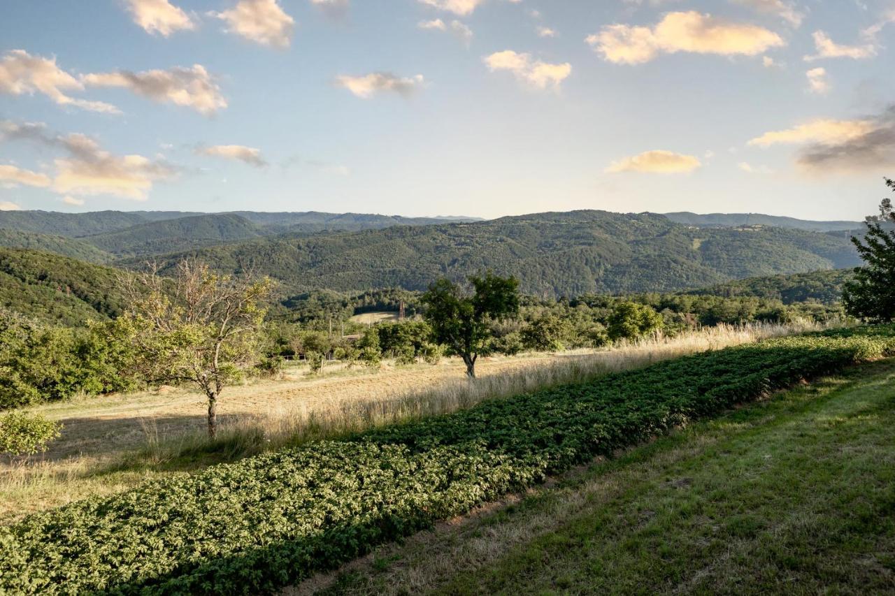 Sunny Hill Διαμέρισμα Vremski Britof Εξωτερικό φωτογραφία